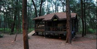devbagh beach resort junglelodges