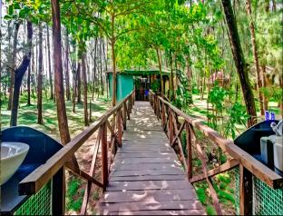 devbagh beach resort junglelodges