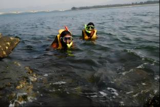 devbagh beach resort junglelodges