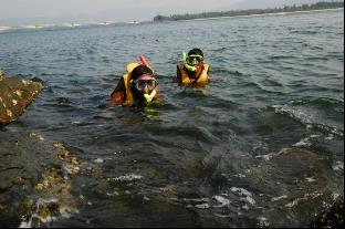 karwar