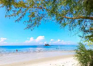 the toy beach resort