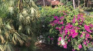 goa