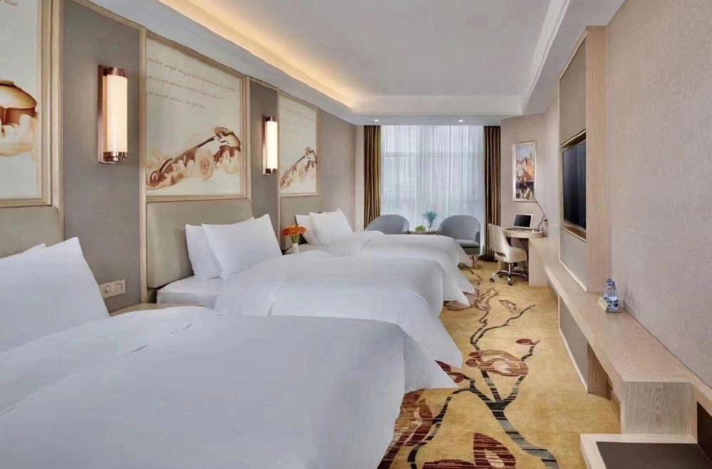 vienna hotel fujian ningde high speed railway station