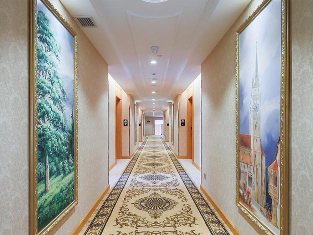 vienna hotel jiangsu lvsigang