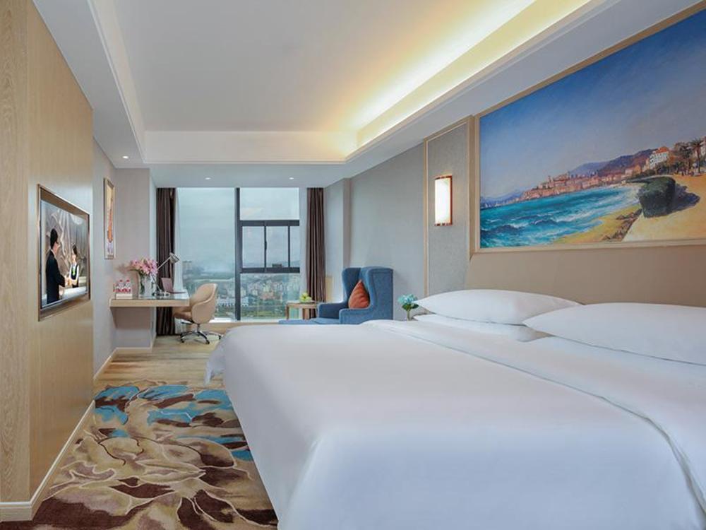 vienna hotel guizhou xingren