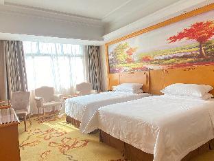 vienna hotel hunan didong new district