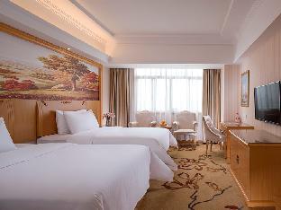 vienna hotel hunan didong new district