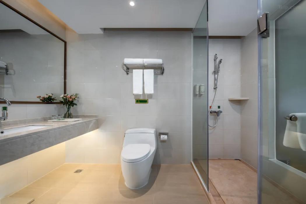 vienna hotel shenzhen pingshan longtian small town