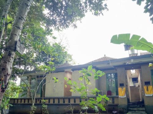 daton house ubud near bali zoo park redpartner