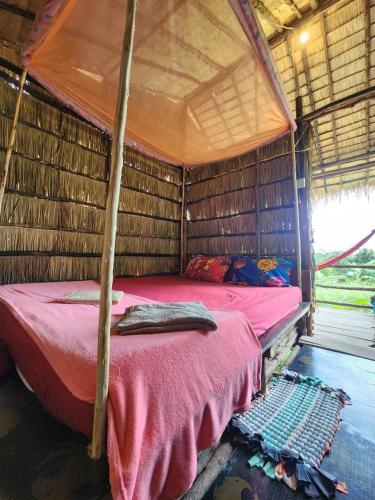 sweet jungle tents