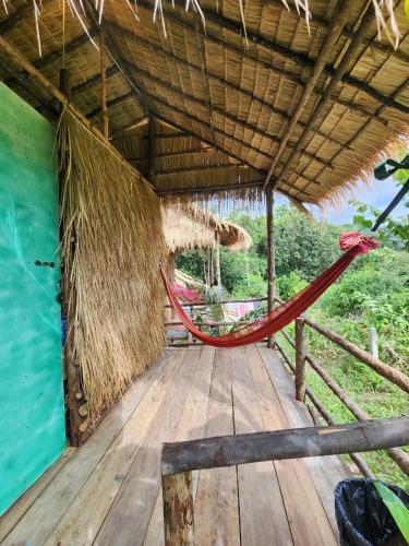sweet jungle tents