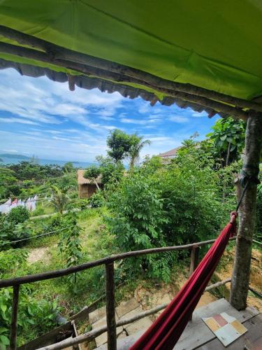 sweet jungle tents