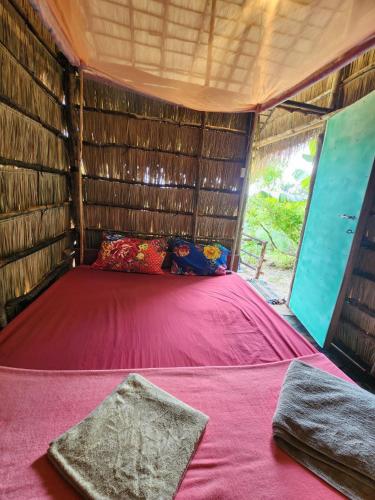 sweet jungle tents