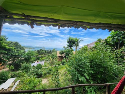 sweet jungle tents