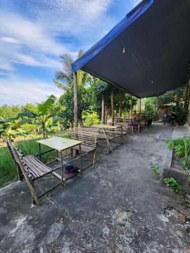 sweet jungle tents