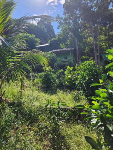 sweet jungle tents