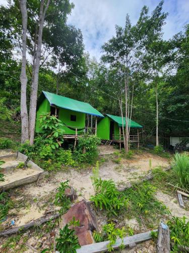 sweet jungle tents