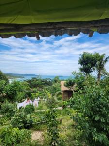 sweet jungle tents