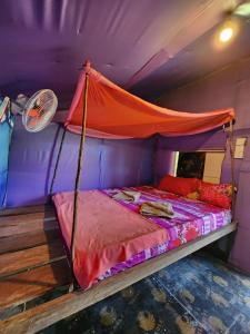 sweet jungle tents