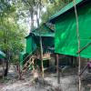 sweet jungle tents