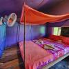 sweet jungle tents