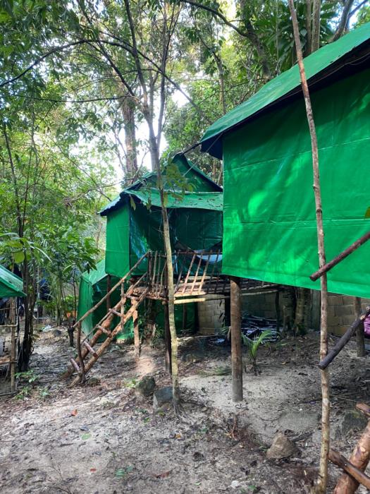 sweet jungle tents