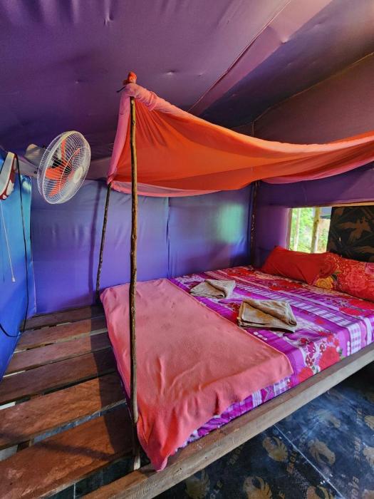 sweet jungle tents