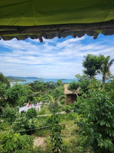 sweet jungle tents