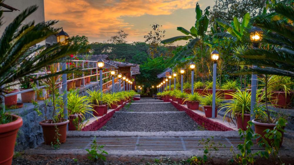 saveda farm and cottages