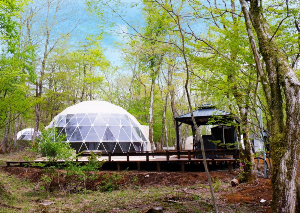moss jurigi camp resort