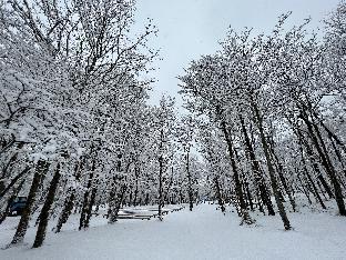 moss jurigi camp resort