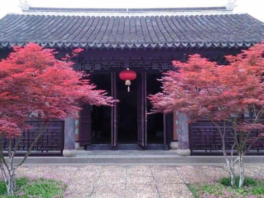 green tree inn wuxi jiangyin gaoxin district shishan road ganglong plaza