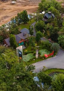 the chamuang forest