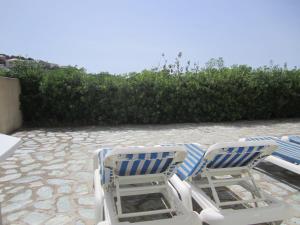 calvi