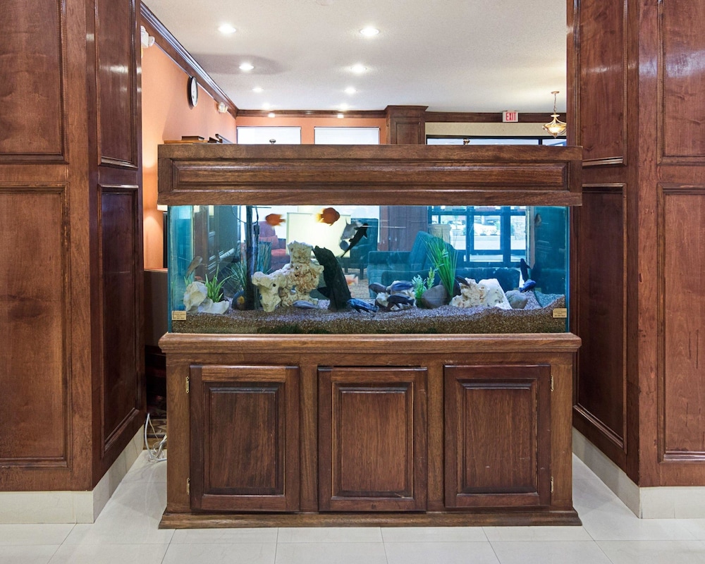 comfort inn and suites houston key katy