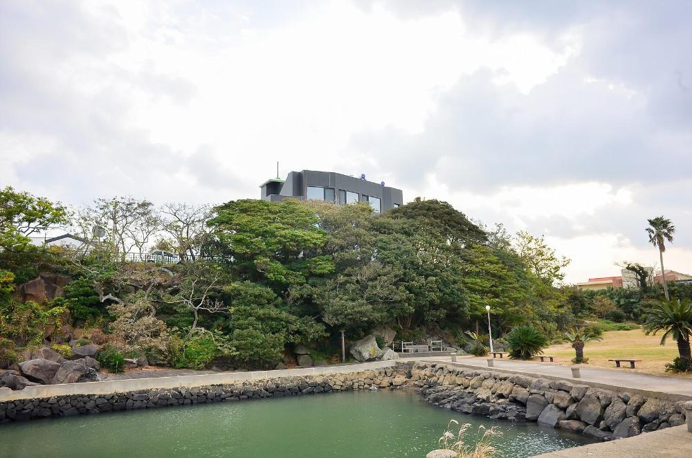jeju backpaecus villa