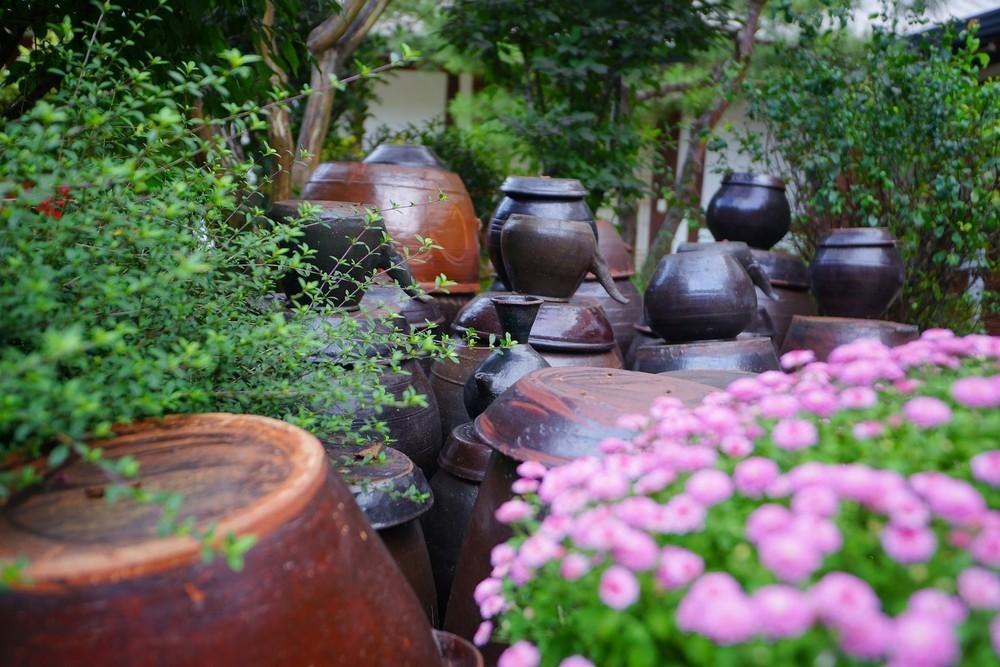 jeonju hanok madang pretty house pension