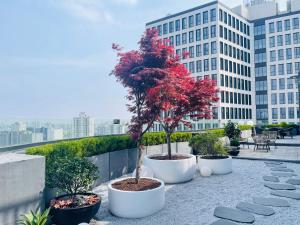 atour s hotel shanghai lujiazui expo center