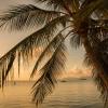 tembo beach club and resort