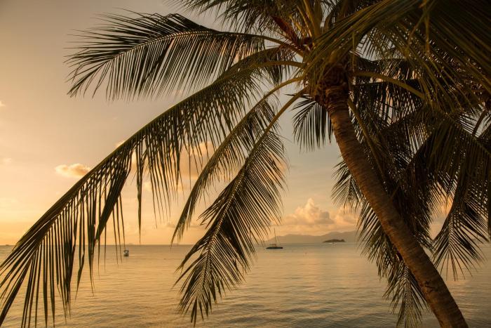 tembo beach club and resort