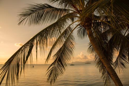 tembo beach club and resort