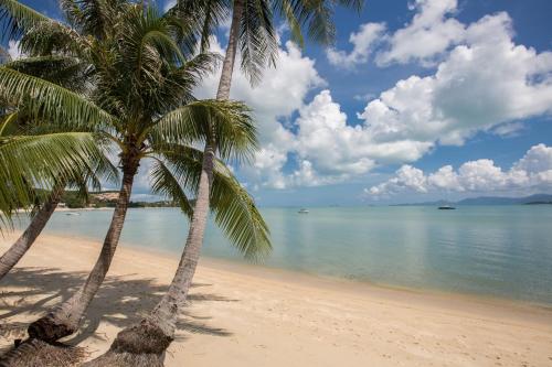 tembo beach club and resort