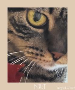 plug inn montmartre by hiphophostels