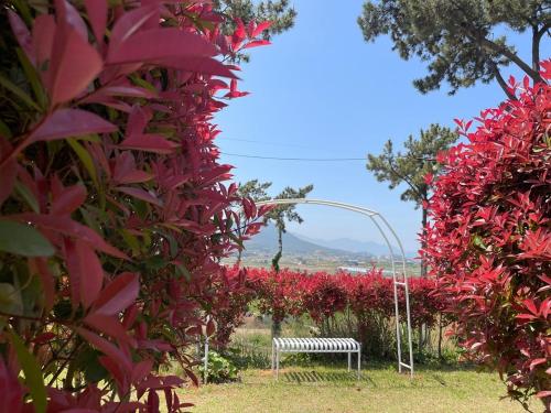 wando haegeum pension