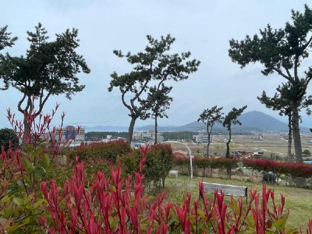 wando haegeum pension