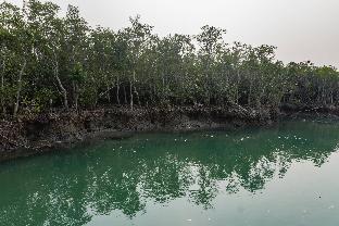 Jhore Jole Jongole - Eco Heritage Resort,Jharkhali>>Haldia,5 star
