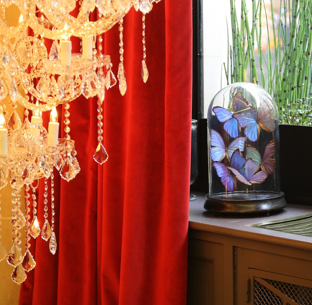 hotel moliere