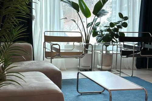 soakcho biroso spring