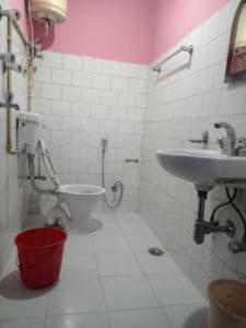 darjeeling hotel summer palace