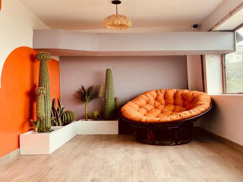 d home sapa